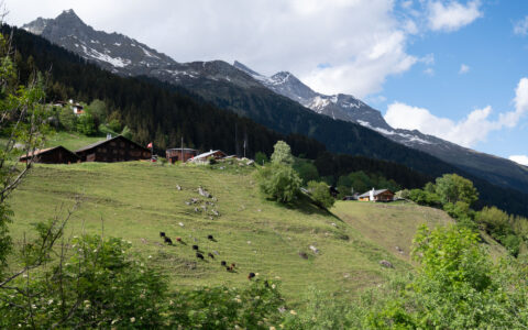 Bergen in der Umgebung: Piz Ner (links) und die Brigelser Hörner